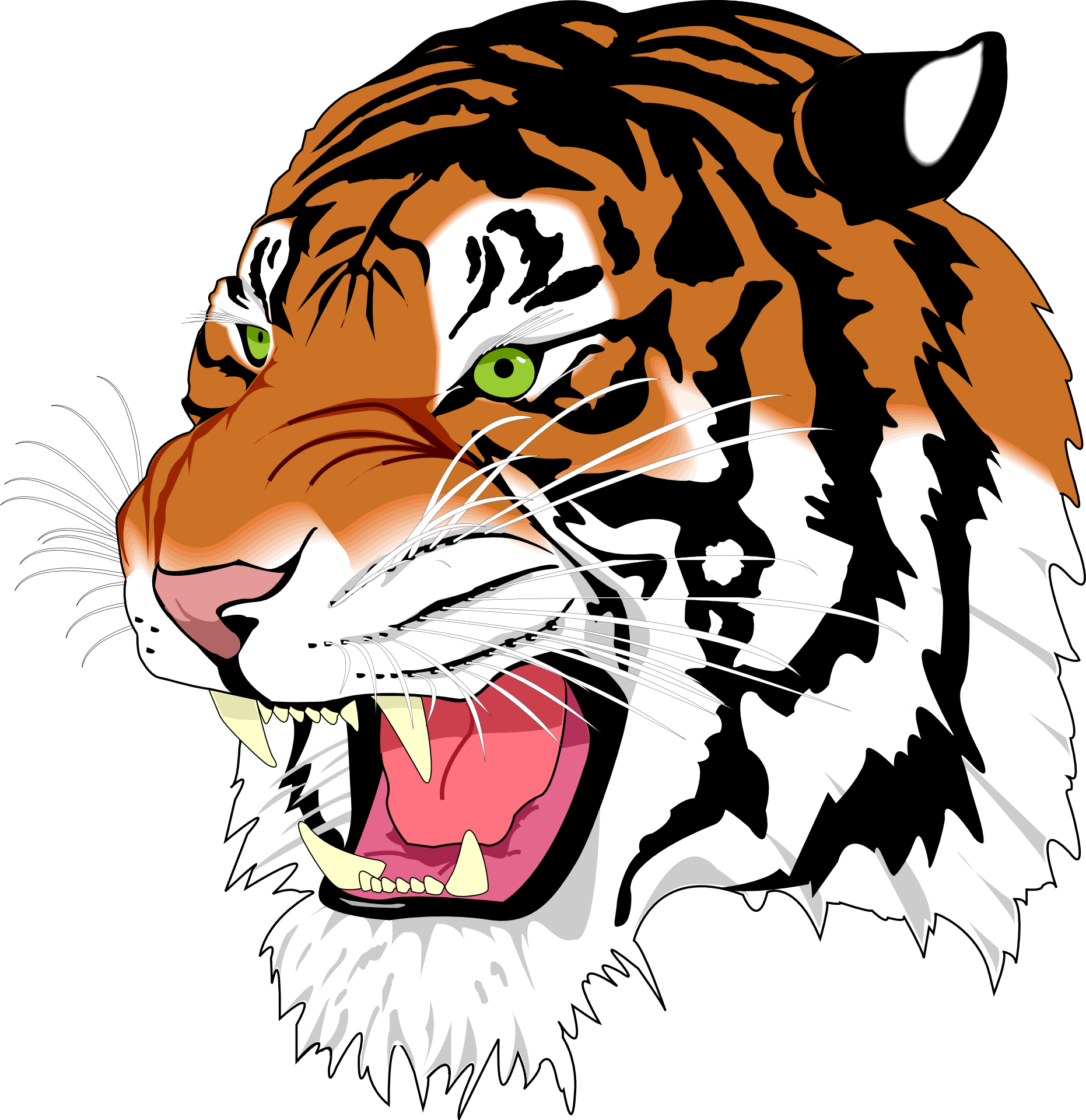 Logo Radio Tigre